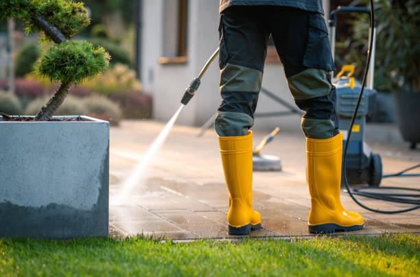 Best Sidewalk Pressure Washing  in Wekiwa Springs, FL